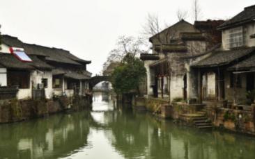 僵尸粉碎机